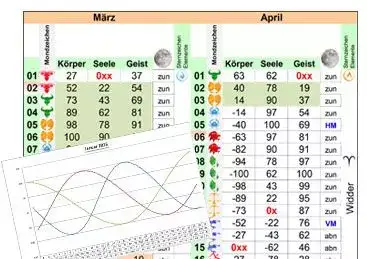Zusammenspiel von Körper, Seele und Geist im Biorhythmus